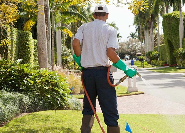 About Aliso Viejo CA Pest Control Pros